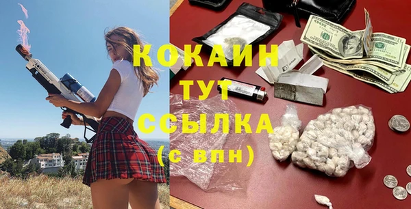 гашик Алзамай
