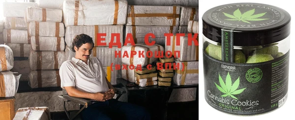 гашик Алзамай